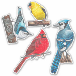 Stickers jardin Oiseaux Pack valeur