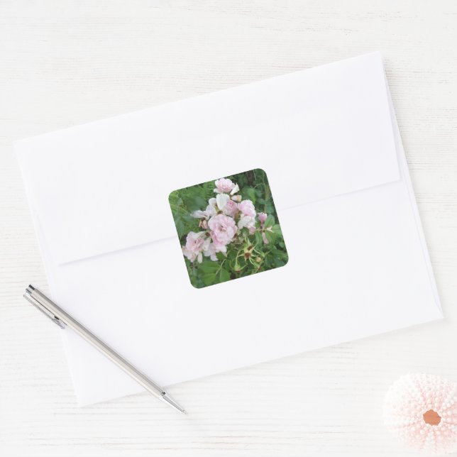 Stickers Joli rose Fleur (Enveloppe)