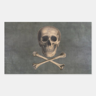Stickers Jolly roger vintage