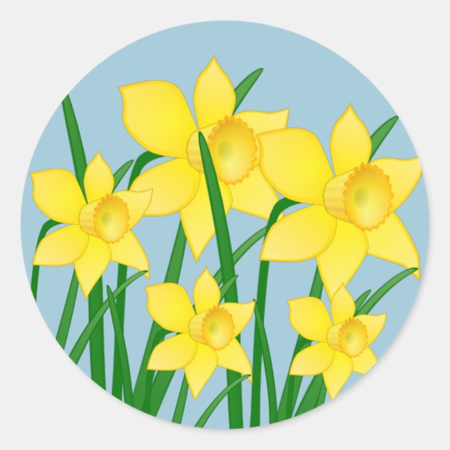 Stickers jonquilles (Devant)