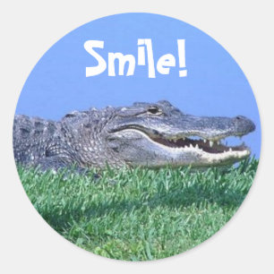 Stickers Joyaux Jungle