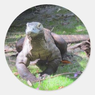 Stickers Komodo Dragon (0606)