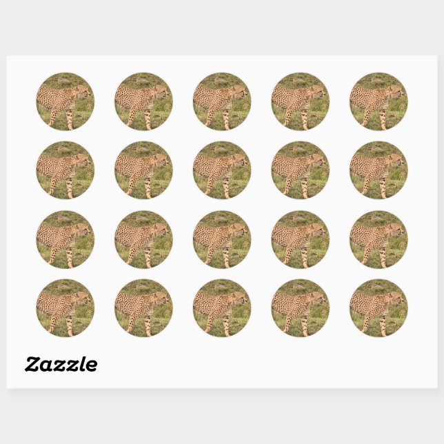 Stickers Leopard (Feuille)