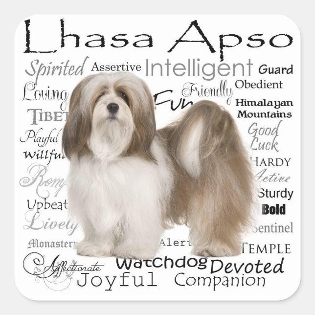Stickers Lhasa Apso (Devant)