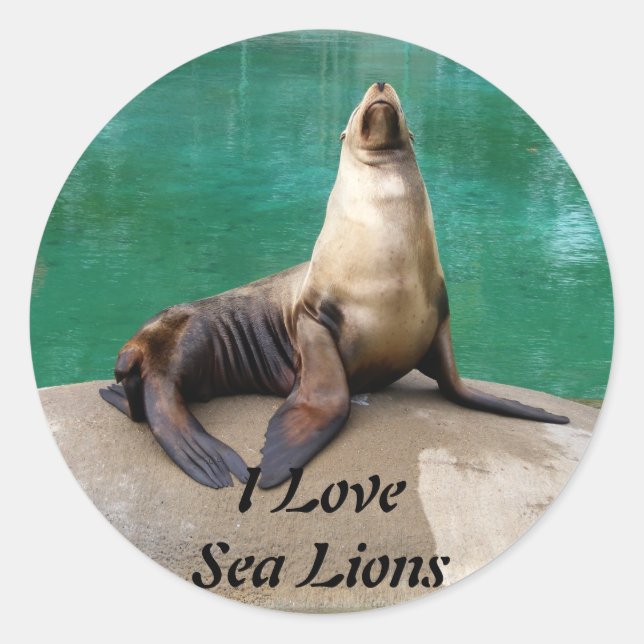 Stickers Lion de mer (Devant)
