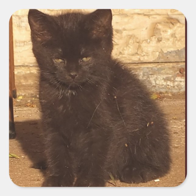 Stickers Little Black Kitten (Devant)