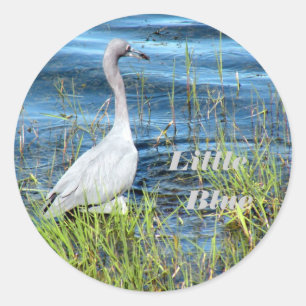 Stickers, Little Blue Classic Round Sticker