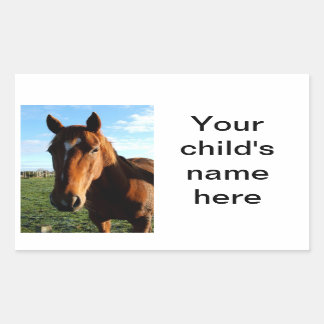 Stickers Livre scolaire Cheval Pony
