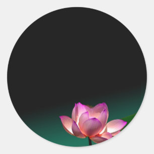 stickers lotus rose