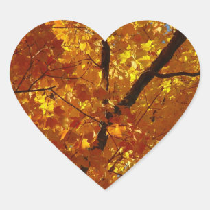Stickers Love Nature - Fall Foliage