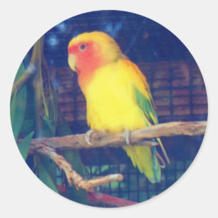 Stickers Lovebird #1 à tête brune
