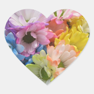 Stickers - Maisées multicolores II