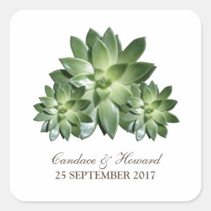 Stickers Mariage Succulent Simple