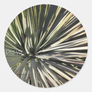 Stickers Mariage Yucca Radial RSVP