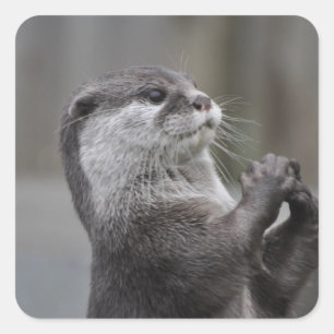 Stickers Masterminus Otter