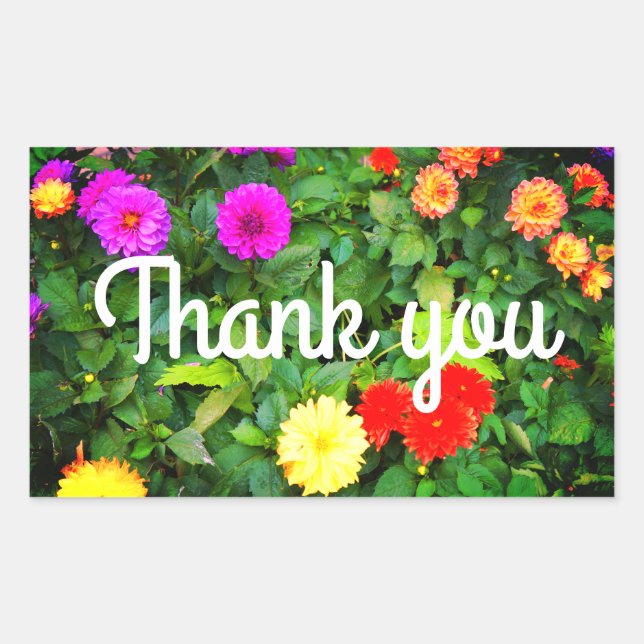 Stickers Merci Dahlias #1-2 (Devant)