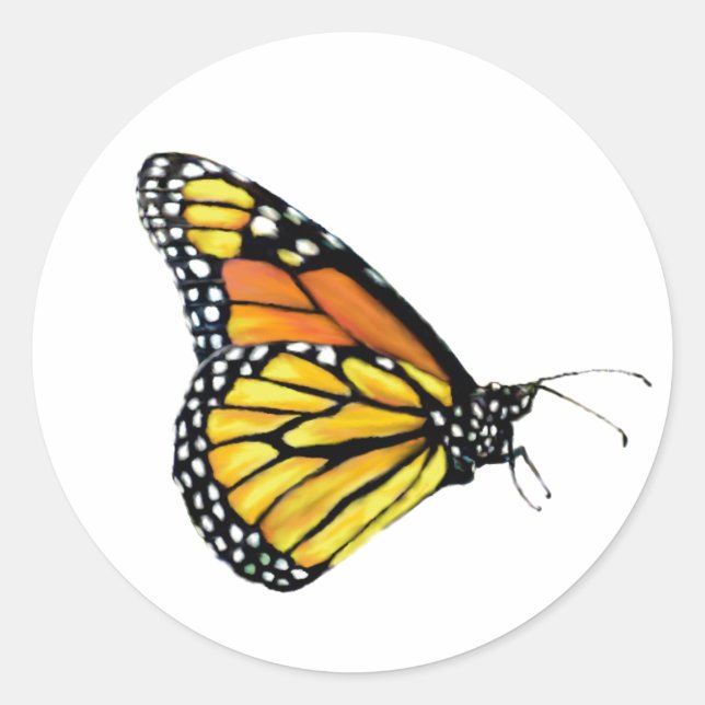 Stickers Monarch side view (Front)