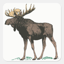 Stickers Moose