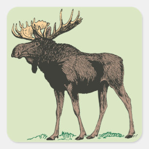 Stickers Moose
