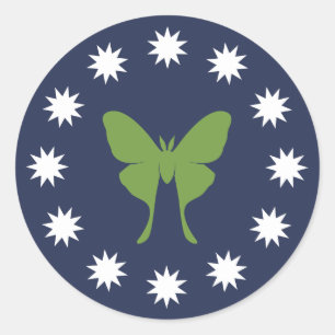 Stickers Moth & Bugs (feuille)