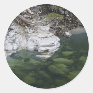 Stickers Motivation FOREST