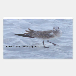 Stickers Mouette sur la plage