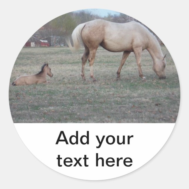 Stickers Nouveaux arrivants (Devant)