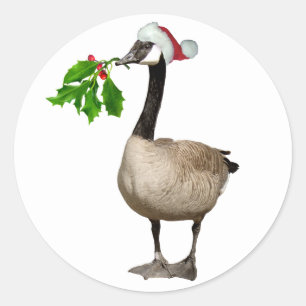 Stickers oie de Noël