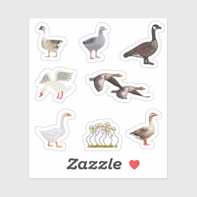 Stickers oies (Feuille)