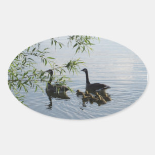 Stickers Oies sauvages