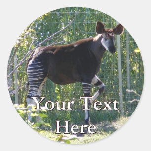 Stickers Okapi
