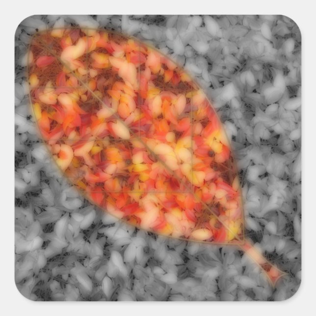 Stickers Ombres vives (Devant)