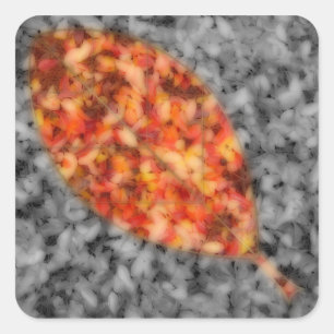 Stickers Ombres vives