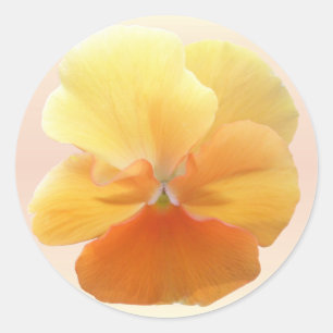 Stickers - Orange Pansy