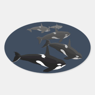 Stickers Orca Tueur Baleine Stickers