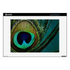 Photographie moderne de plume exotique colorée de