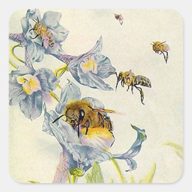 STICKERS Organic HONEY beekeeper bees flowers (Front)