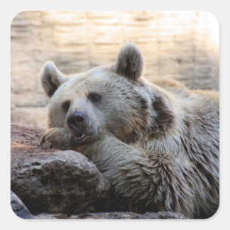 Stickers Ours Daydreaming