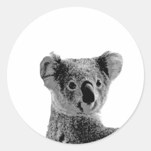 Stickers Ours Koala