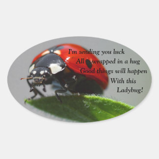 Stickers Ovale de Bonne chance Ladybug