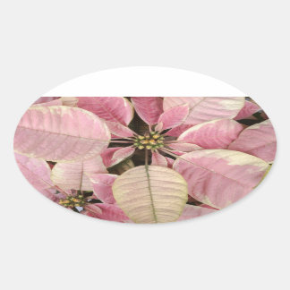 Stickers ovales Poinsettia