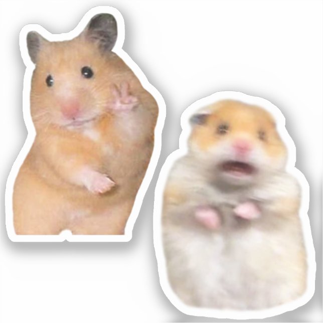 Stickers Paix + Scared Hamster Meme (Recto)