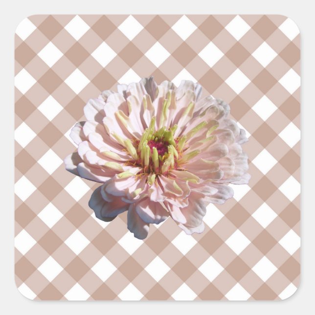 Stickers - Palest Pink Zinnia on Lattice (Front)
