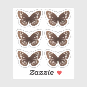 stickers papillon Brown nature insectes papillons