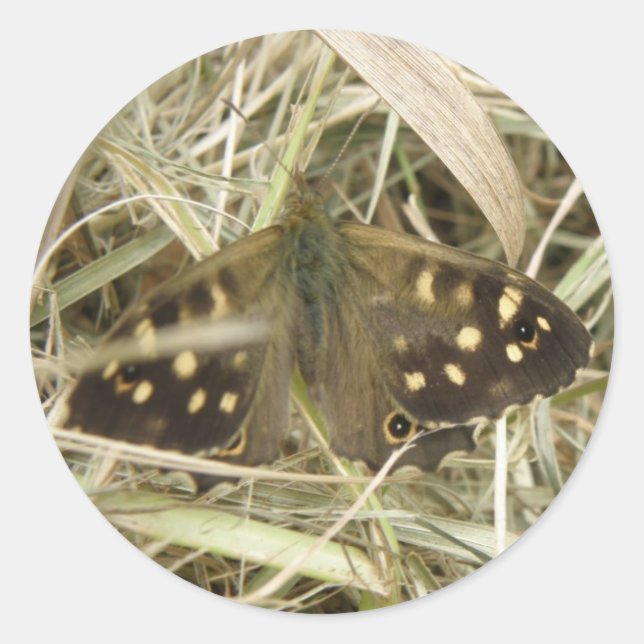 Stickers Papillon en bois moucheté (Devant)