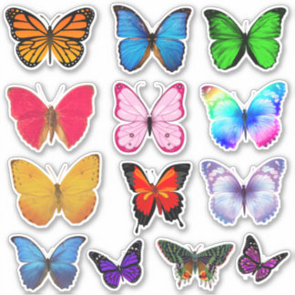 Stickers Papillon multicolore