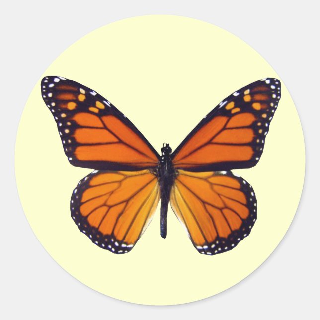 Stickers Papillon orange (Devant)
