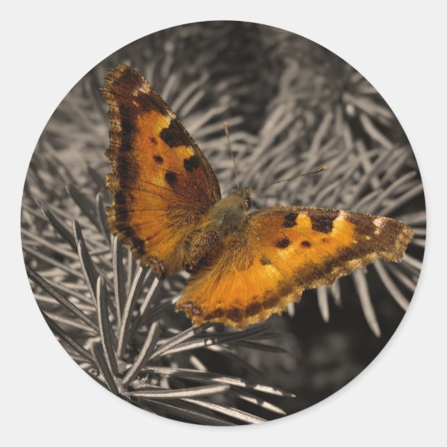 Stickers Papillon orange (Devant)