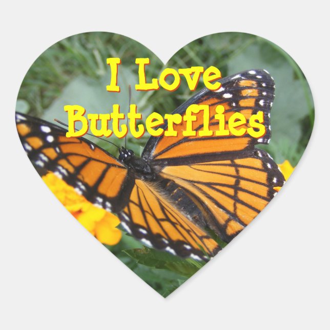 Stickers Papillon Viceroy (Devant)