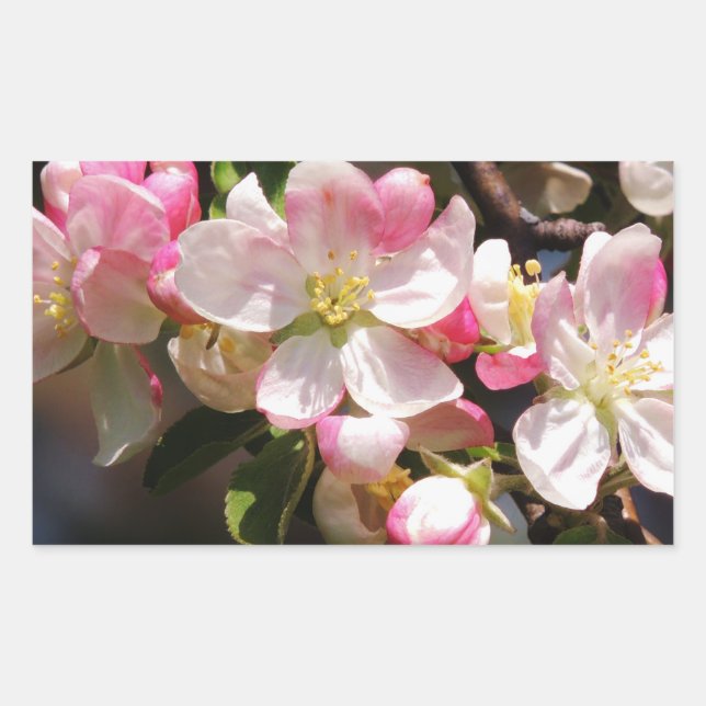 Stickers Pâques aux fleurs bleues (Devant)